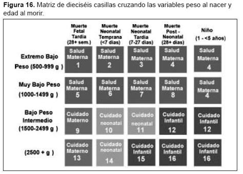 Cuanto Mide Un Bebe De 7 Meses De Gestacion - Consejos de Bebé
