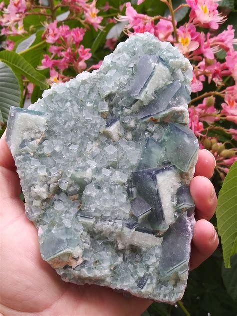 Natural Green Fluorite Crystal Large Raw Green Fluorite Etsy