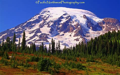 Mt Rainier Wa Scott C Miller Pacific Northwest