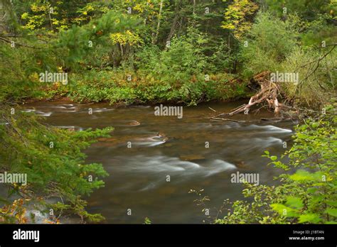 Brule River Brule River State Forest Wisconsin Stock Photo Alamy