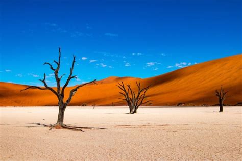 les 12 plus beaux endroits à visiter en namibie