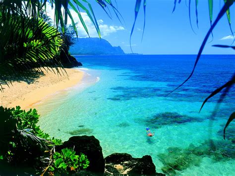 46 Free Wallpaper Hawaii Beaches On Wallpapersafari