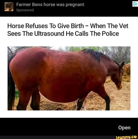 Farmer Bens Horse Was Pregnant As Sponsored Horse Refuses To Give Birth