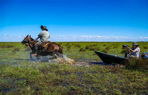 Iberá National Park Northeast Argentinas Wetland Wonderland Lonely