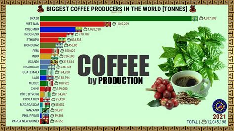 BIGGEST COFFEE PRODUCERS IN THE WORLD YouTube