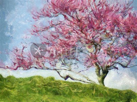 Pink Flowering Tree Digital Art Art Prints And Posters