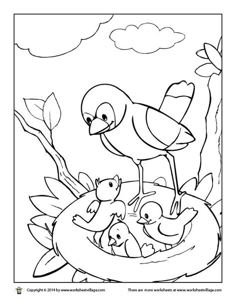 Baby Bird Nest Coloring Pages Coloring Pages