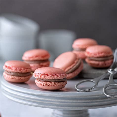 Macarons Mit Schokolade Gesunde Rezepte Ww Schweiz