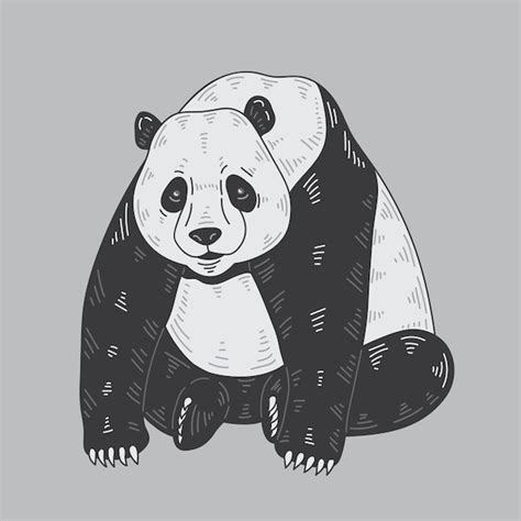 Panda Vectorillustratie Premium Vector