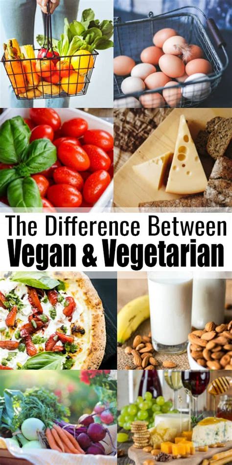 vegan vs vegetarian vegan heaven