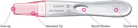 Comfort Check Pregnancy Test First Response