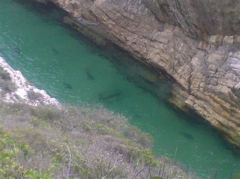 Angling South Eastern Cape Natures Valley