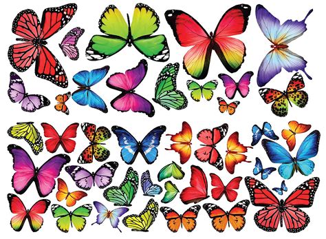 Colorful Butterfly Vinyl Sticker Stickers Labels And Tags Paper And Party