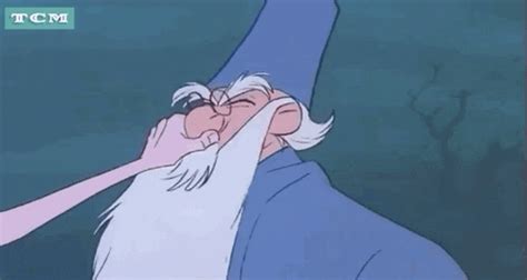 The Sword In The Stone Wizard GIF By Turner Classic Movies Find