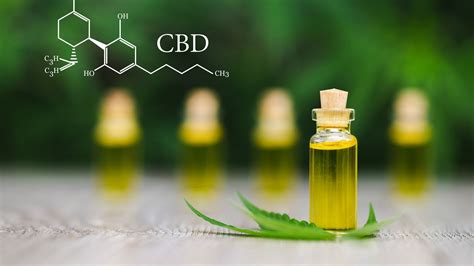 Debunking The Most Common Cbd Misconceptions Health Engagement