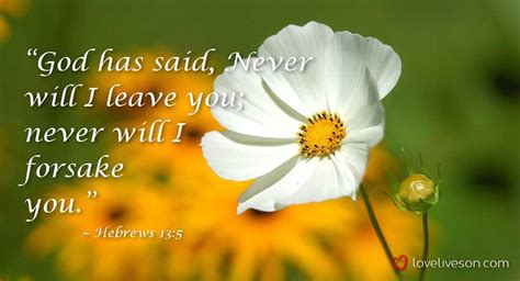 100 Bible Verses For Funerals Find The Perfect Scripture Love Lives On