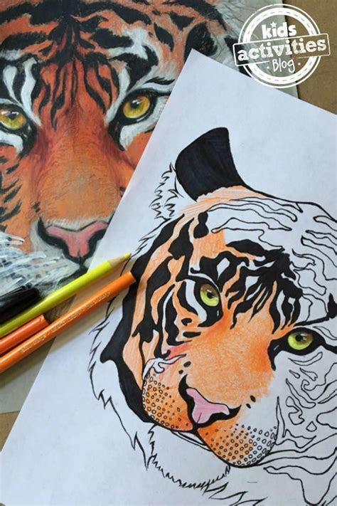 Tiger Coloring Page Animal Coloring Pages Zoo Animal