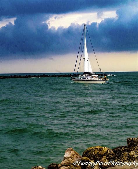 Stormy Sail Photograph By Tammy Davis