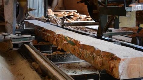 Sawmill Process Of Machining Logs In Sawmill Machine Saws The Tree
