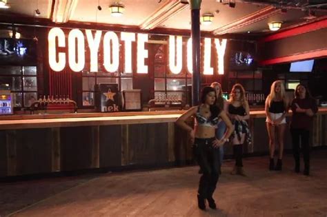 Meet The Coyotes Who Will Be Working At Cardiffs New Coyote Ugly Bar