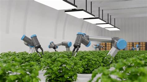 10 Practical Applications Of Ai In Agriculture Impacts And Benefits Of