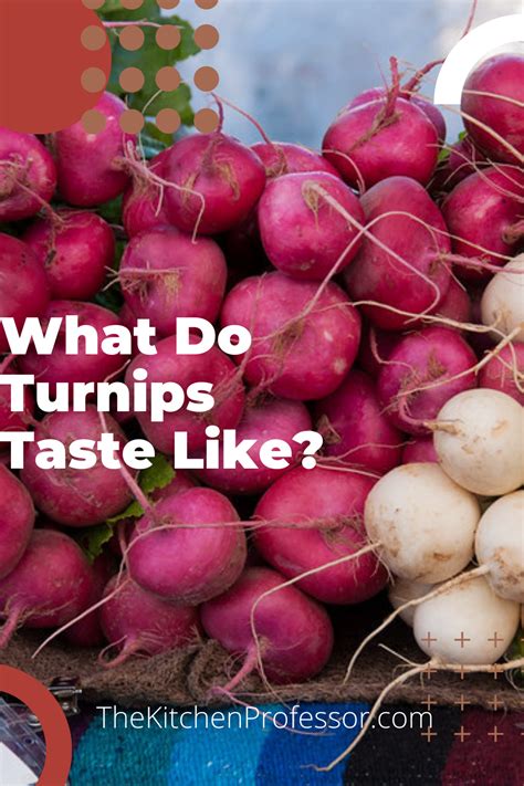 What Do Turnips Taste Like Turnip Tasting Root Vegetables