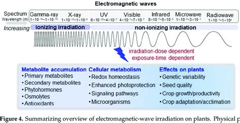 Summarizing Overview Of Electromagnetic Wave Irradiation On Plants