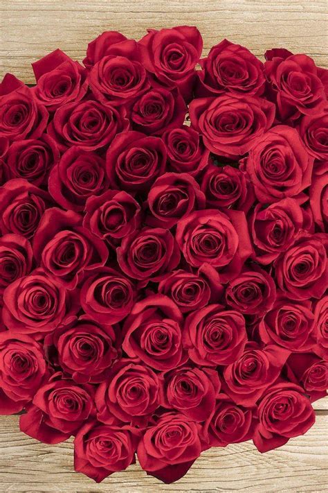 Heads Up Lovers Costco Is Selling 50 Stem Roses For Valentines Day