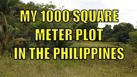 My 1000 Square Meter Plot In The Philippines Youtube