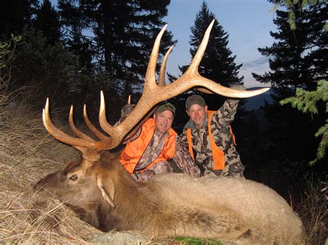 Elk Hunting Trips Rifle Archery Big Bull Elk Hunts