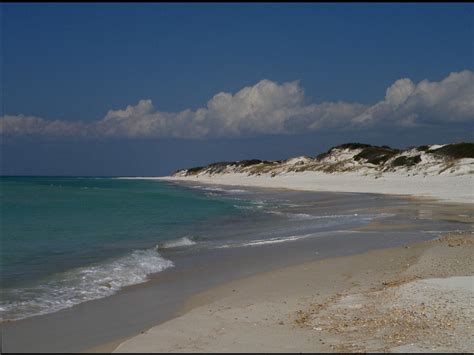 Joseph state park cabin inventory: Saint Joseph Peninsula State Park, a Florida State Park