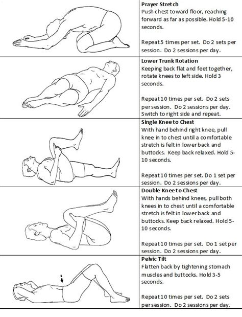 Best Low Back Pain Exercises Patient Handout Images On Pinterest Exercises Work Outs And
