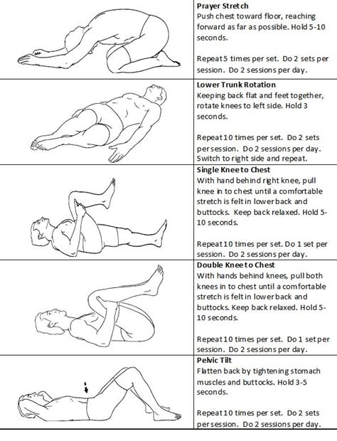 Voluntary muscles are those that you choose to move. 25 best images about Middle Back Pain Exercises on Pinterest