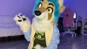 How Much Does A Fursuit Cost Thepricer Media