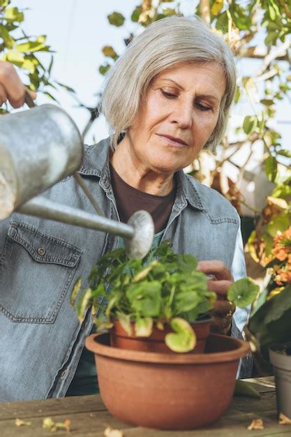 Premium Photo Elderly Woman Waters Plant In Pot On Sunny Day