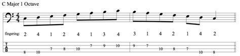 How To Play Two Octave Scales Talkingbass