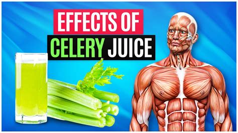 What Happens When You Drink Celery Juice Every Morning Celeryjuice