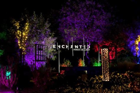 The Enchanted Forest Of Light In Southern California That Is Beyond