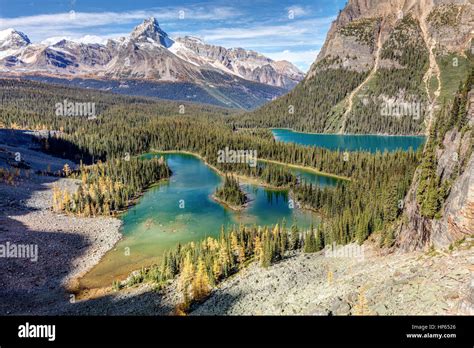 Lake Ohara And Mary Lake View From The Opabin Plateau In Yoho National