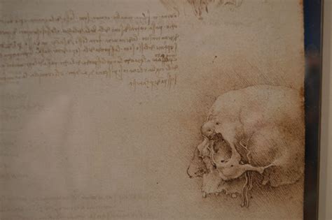 Leonardo Da Vinci Anatomist The Queens Gallery The Culture Coven