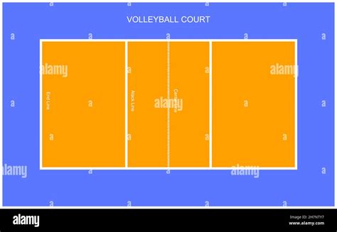 Vista Superior De La Cancha De Voleibol Vectorial En Blanco Con Terreno