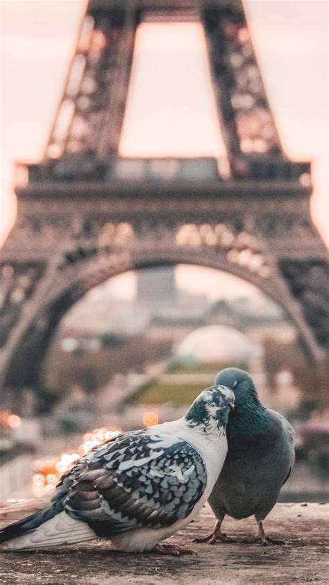 Discovering Europe With 17 Wanderlust Iphone Wallpapers Preppy