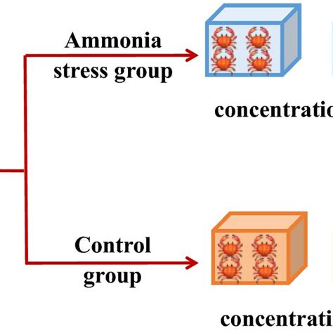 Effects Of Ammonia On The Expression Of Protein Degradation Immune