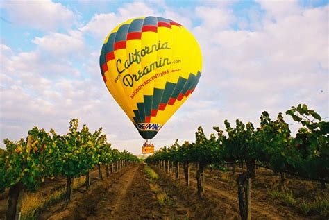 California Dreamin Sunrise Balloon Rides Over Temecula Hot Air