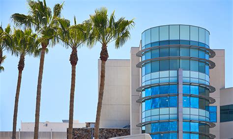 Content updated daily for atlas tree service. Who We Serve | Atlas Tree Service | San Diego CA