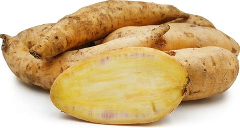 Cilembu Sweet Potatoes Information Recipes And Facts