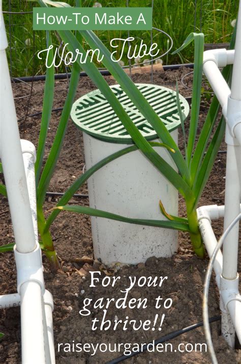 Easy Diy Worm Tube Or Worm Tower
