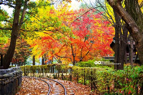 The cheapest way to get from seoul to nami island costs only ₩3,581, and the quickest way takes just 23 mins. 14 Things to Do in Nami Island, South Korea | Malaysian ...