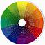 The Wondrous Evoluscope Taxonomy  Colour Wheel