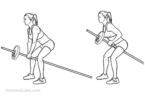 Bent Over Two Arm Long Barbell Row Illustrated Exercise Guide